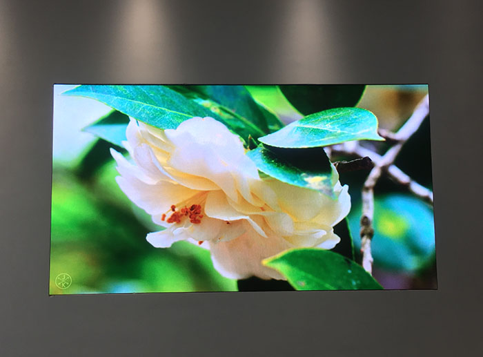 LED顯示屏會呈現(xiàn)花屏的原因